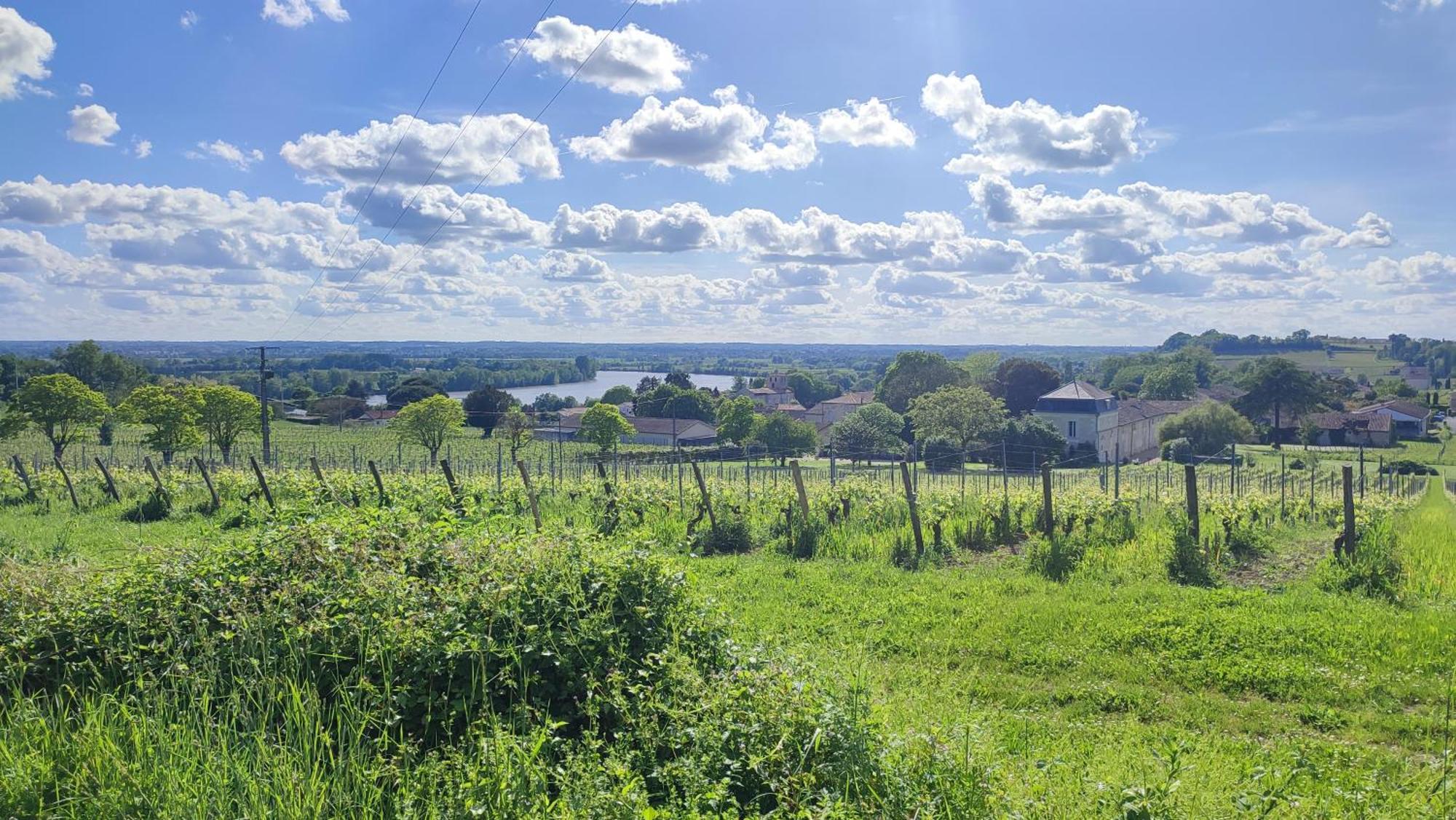 Maison Charmeilles - La Suite Pomerol Fronsac  Dış mekan fotoğraf