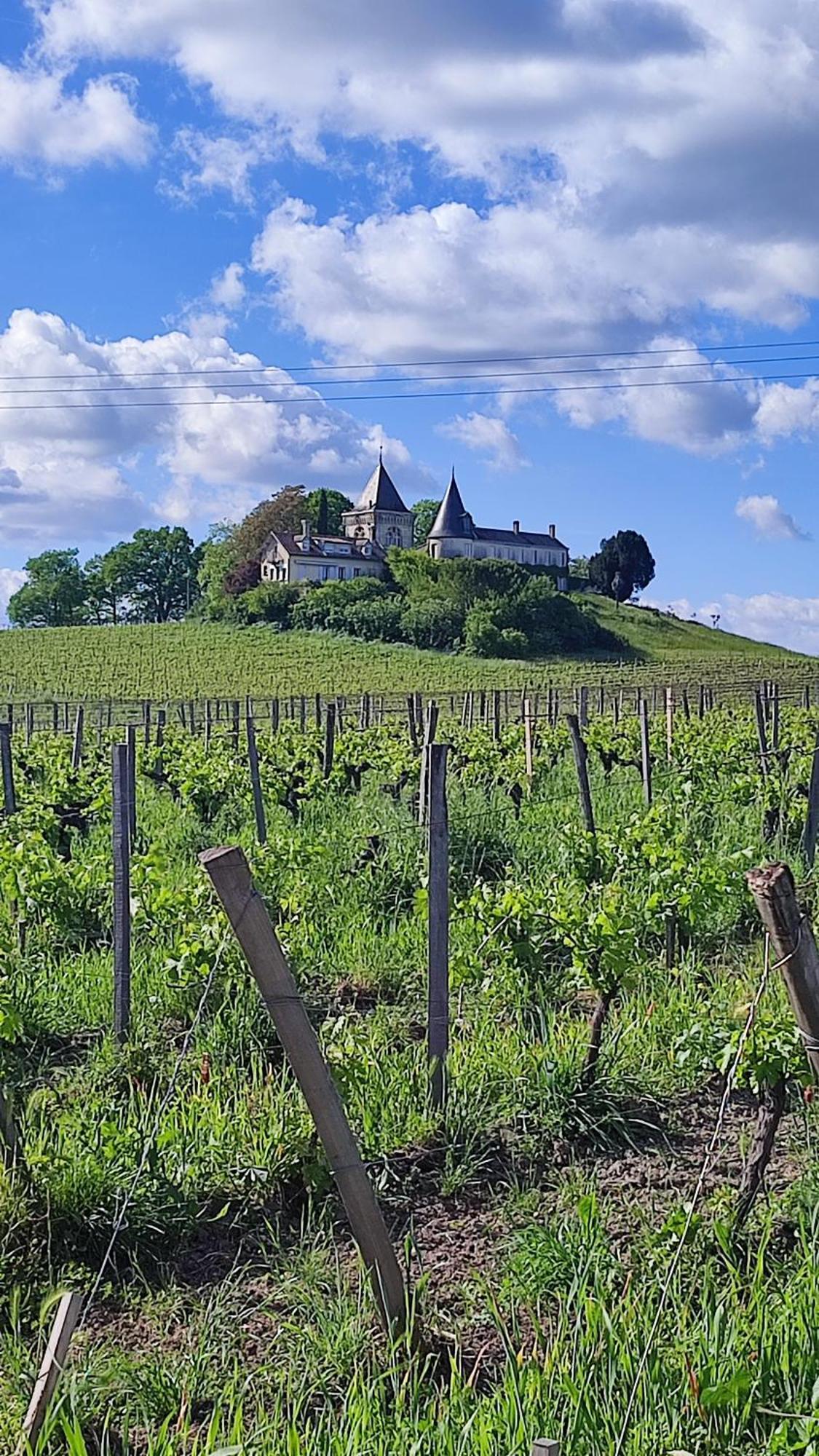 Maison Charmeilles - La Suite Pomerol Fronsac  Dış mekan fotoğraf